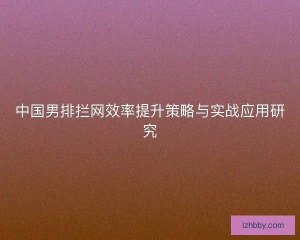 中国男排拦网效率提升策略与实战应用研究